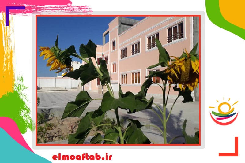 پیش دبستانی و دبستان دخترانه غیردولتی علم و آفتاب